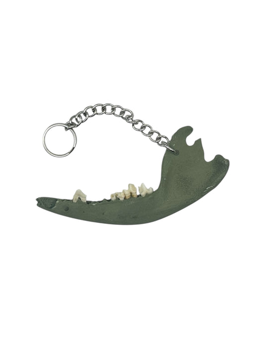 Jaw Bone Chain Charm (Forest)