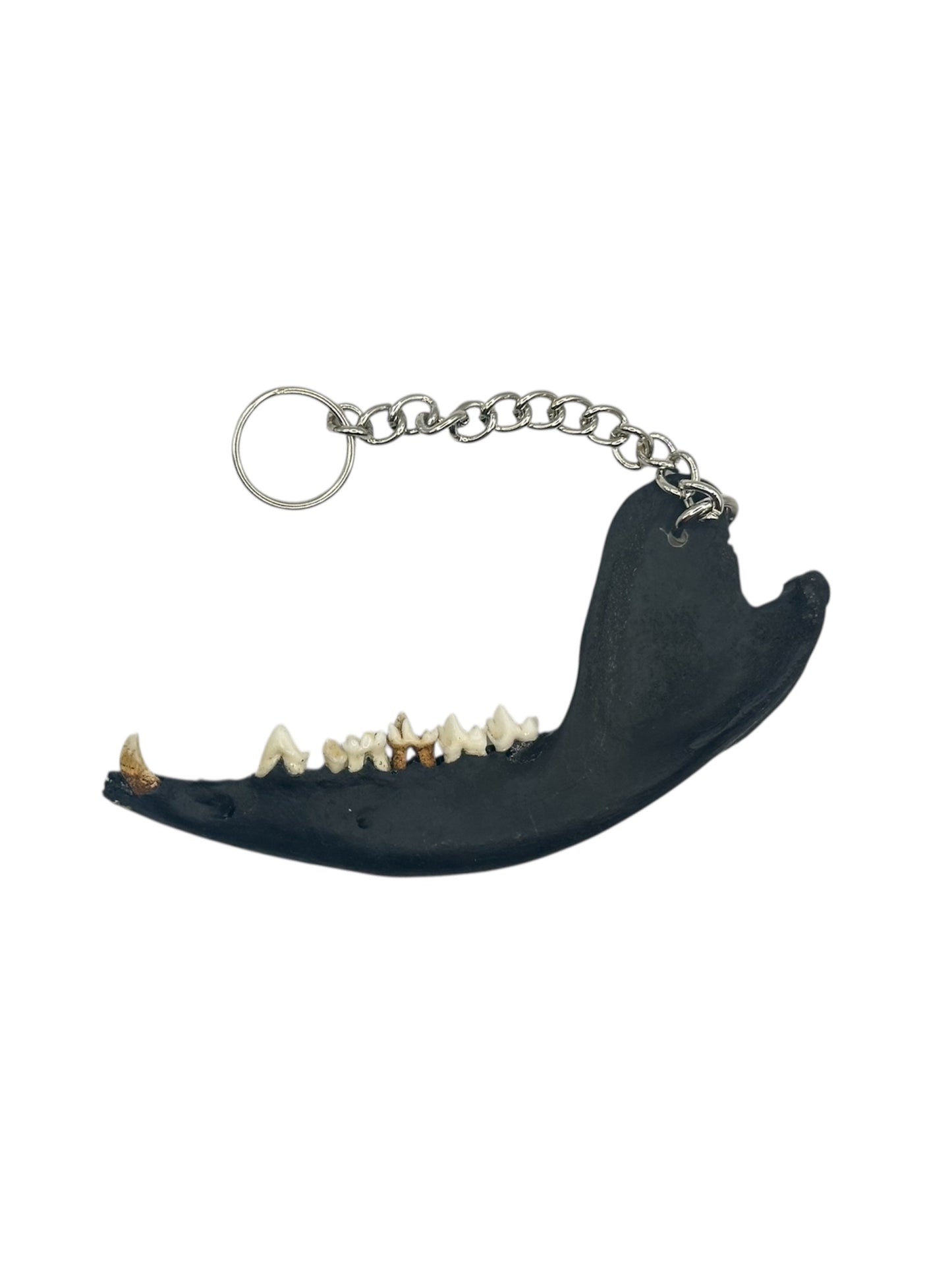 Jaw Bone Chain Charm (Black)