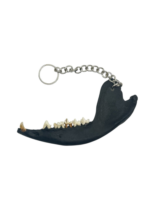 Jaw Bone Chain Charm (Black)