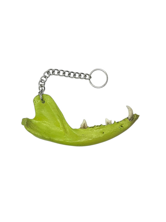 Jaw Bone Chain Charm (Sour)