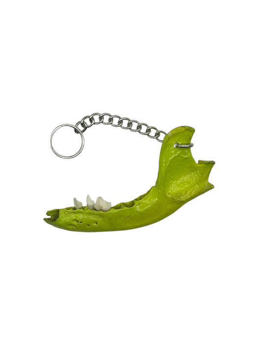 Jaw Bone Chain Charm (Sour Green)