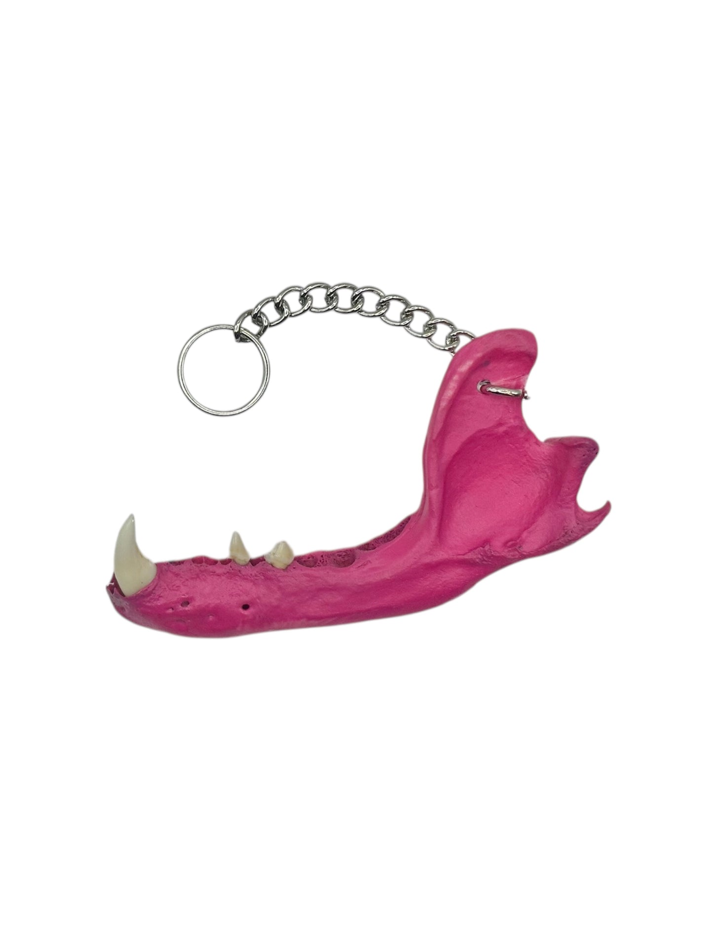 Jaw Bone Chain Charm (Pink)