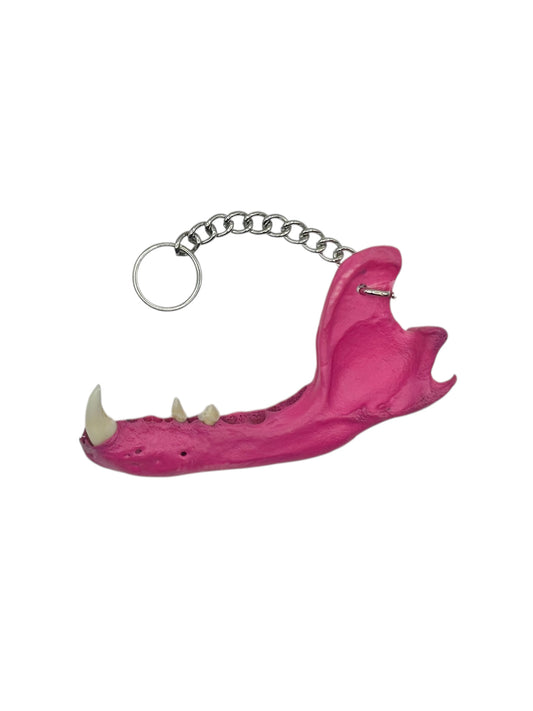 Jaw Bone Chain Charm (Pink)