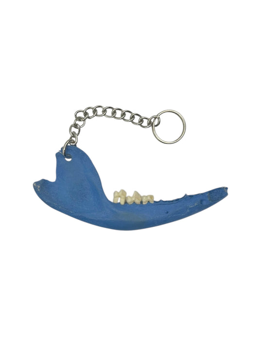 Jaw Bone Chain Charm (Blue)