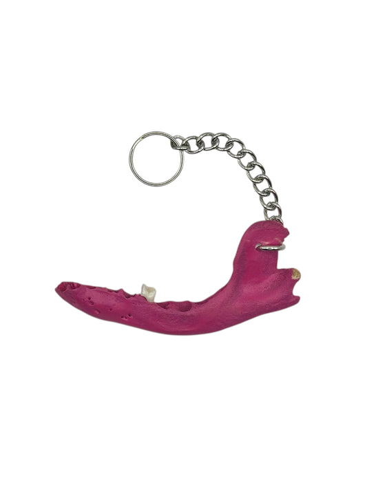 Jaw Bone Chain Charm (Pink)