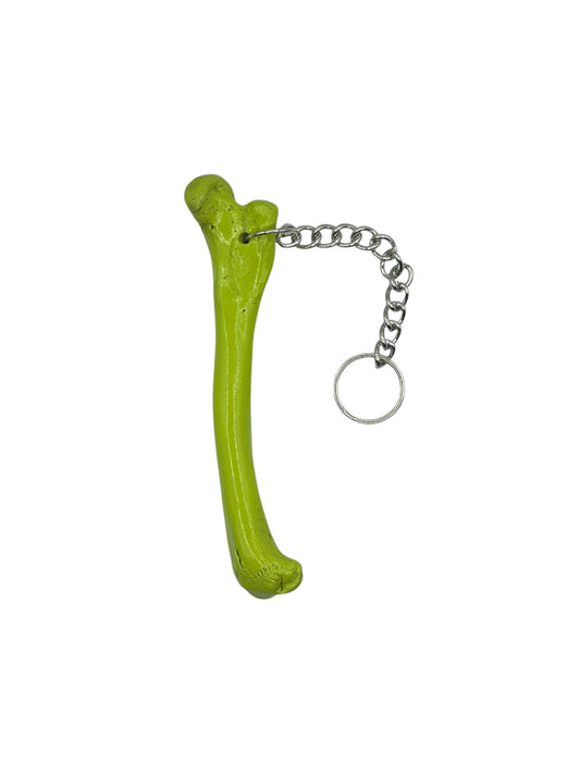 Bone Chain Charm (Sour Green)